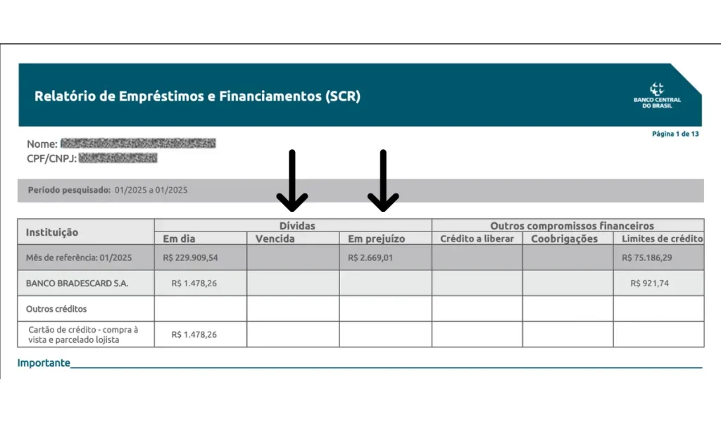 relatório scr bacen