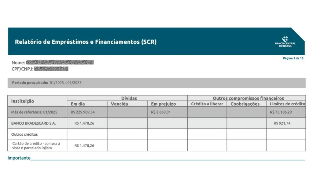 registrato scr banco central registrato scr banco central